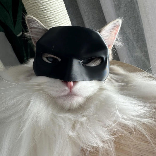 Batman Mask for Cats